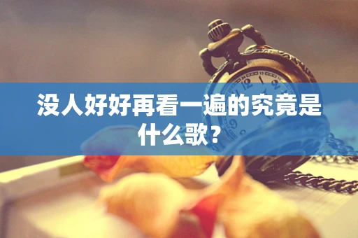 没人好好再看一遍的究竟是什么歌？