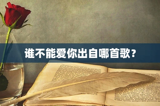 谁不能爱你出自哪首歌？
