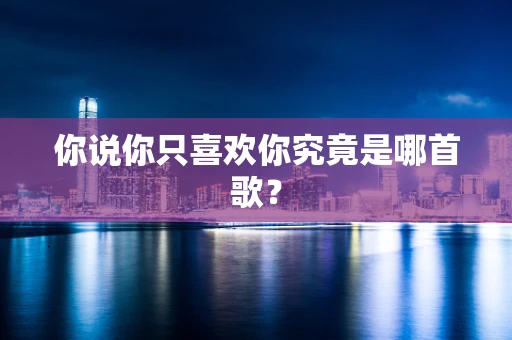 你说你只喜欢你究竟是哪首歌？