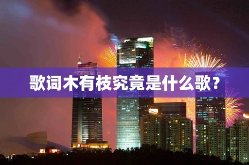 歌词木有枝究竟是什么歌？