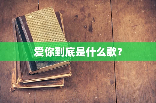 爱你到底是什么歌？