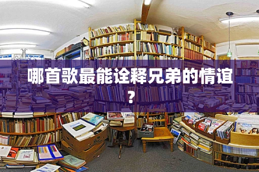 哪首歌最能诠释兄弟的情谊？