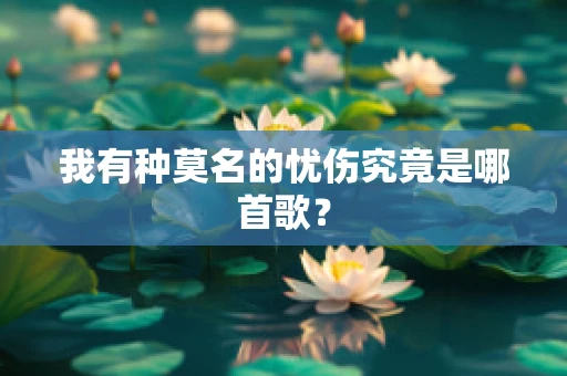 我有种莫名的忧伤究竟是哪首歌？