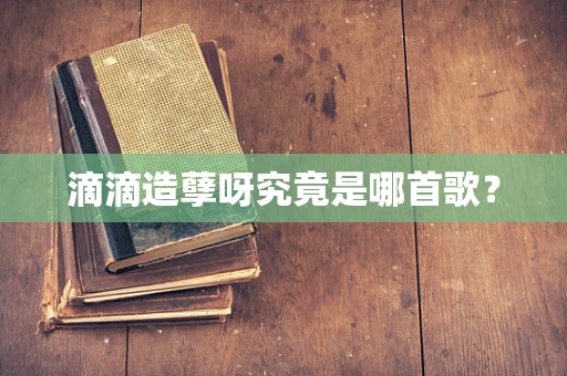 滴滴造孽呀究竟是哪首歌？