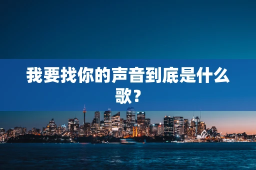 我要找你的声音到底是什么歌？