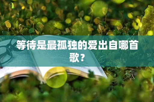 等待是最孤独的爱出自哪首歌？