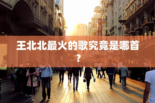 王北北最火的歌究竟是哪首？