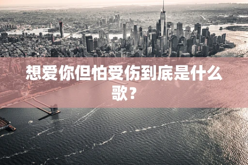 想爱你但怕受伤到底是什么歌？
