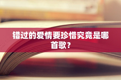 错过的爱情要珍惜究竟是哪首歌？