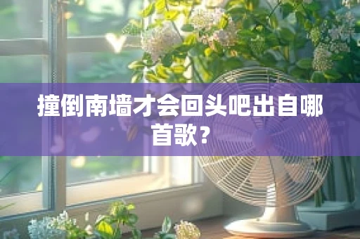 撞倒南墙才会回头吧出自哪首歌？