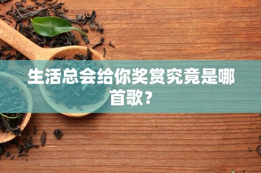 生活总会给你奖赏究竟是哪首歌？