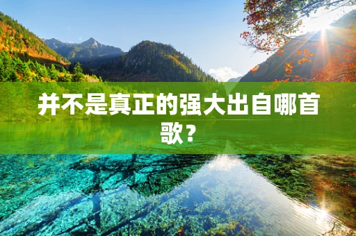 并不是真正的强大出自哪首歌？