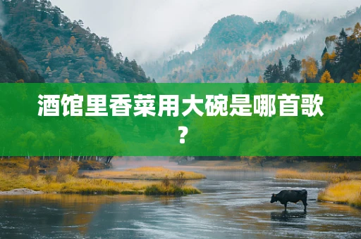酒馆里香菜用大碗是哪首歌？