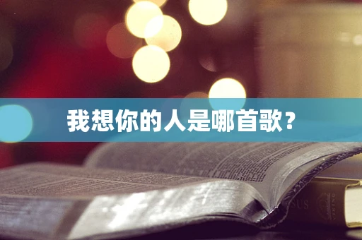 我想你的人是哪首歌？