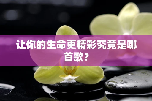 让你的生命更精彩究竟是哪首歌？