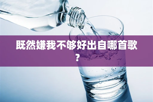 既然嫌我不够好出自哪首歌？