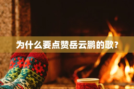 为什么要点赞岳云鹏的歌？