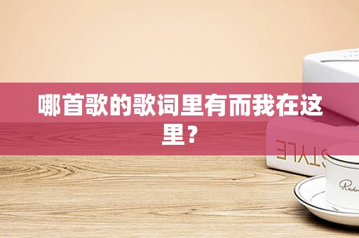 哪首歌的歌词里有而我在这里？
