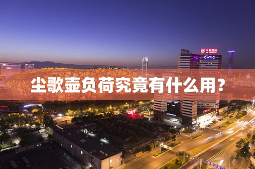 尘歌壶负荷究竟有什么用？