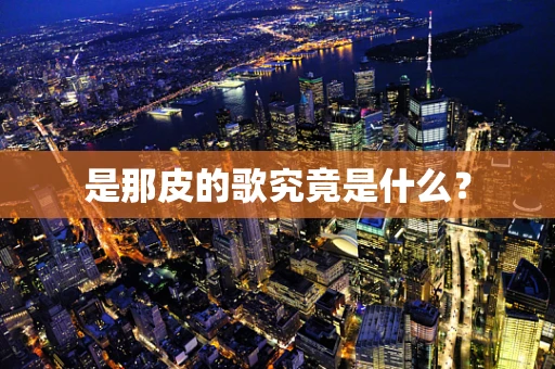 是那皮的歌究竟是什么？