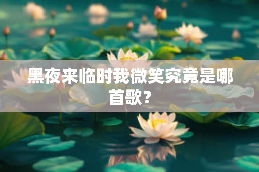 黑夜来临时我微笑究竟是哪首歌？
