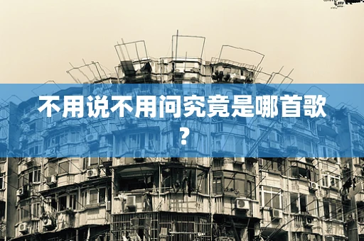 不用说不用问究竟是哪首歌？