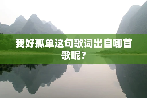 我好孤单这句歌词出自哪首歌呢？