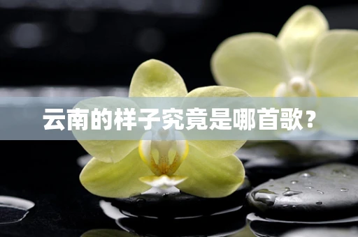 云南的样子究竟是哪首歌？