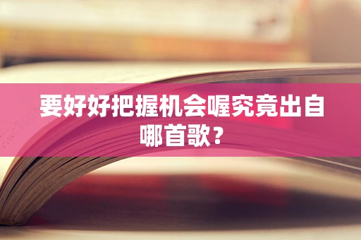 要好好把握机会喔究竟出自哪首歌？