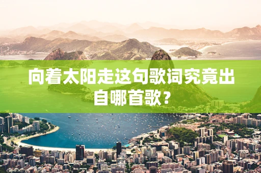 向着太阳走这句歌词究竟出自哪首歌？