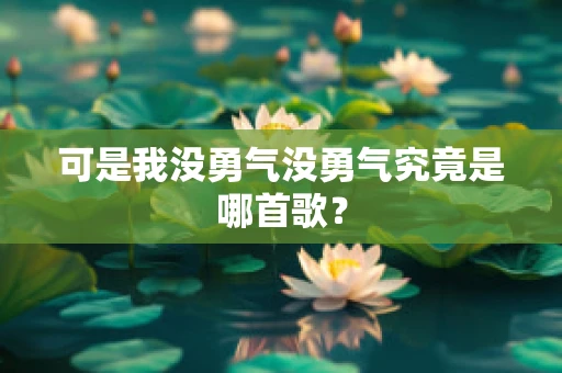 可是我没勇气没勇气究竟是哪首歌？