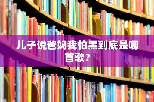 儿子说爸妈我怕黑到底是哪首歌？