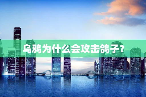 乌鸦为什么会攻击鸽子？