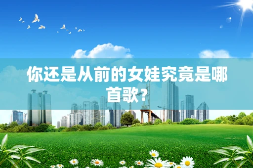 你还是从前的女娃究竟是哪首歌？
