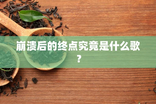 崩溃后的终点究竟是什么歌？