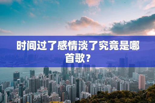 时间过了感情淡了究竟是哪首歌？