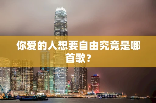 你爱的人想要自由究竟是哪首歌？