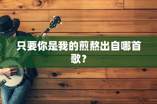 只要你是我的煎熬出自哪首歌？