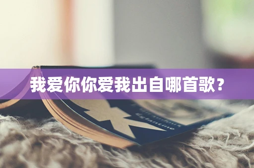 我爱你你爱我出自哪首歌？