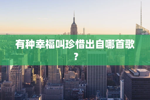 有种幸福叫珍惜出自哪首歌？
