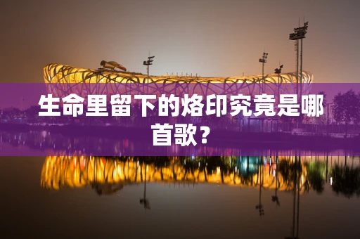 生命里留下的烙印究竟是哪首歌？