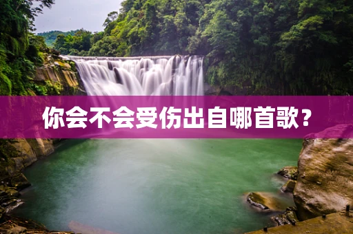 你会不会受伤出自哪首歌？