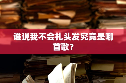 谁说我不会扎头发究竟是哪首歌？