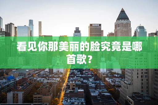 看见你那美丽的脸究竟是哪首歌？
