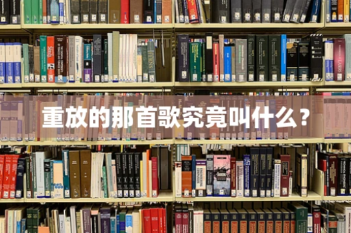 重放的那首歌究竟叫什么？