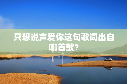 只想说声爱你这句歌词出自哪首歌？