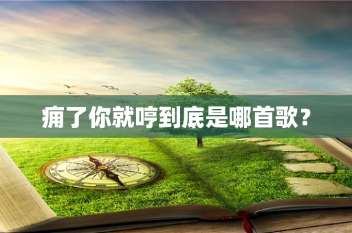 痈了你就哼到底是哪首歌？