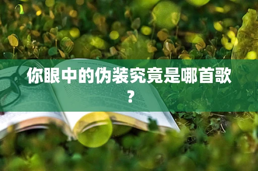 你眼中的伪装究竟是哪首歌？