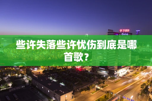 些许失落些许忧伤到底是哪首歌？