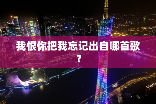 我恨你把我忘记出自哪首歌？